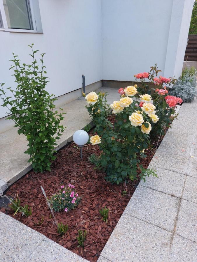 Vila Onix Sacueni Exterior foto